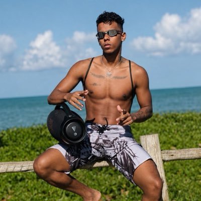 João Guerreiro de la Vega's profile picture
