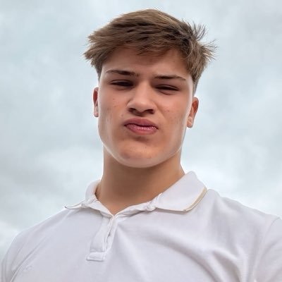 eduromanholi's profile picture