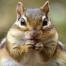 Profilbild von yogesh