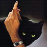 هدى🐈⬛🪭 profil fotoğrafı