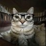 Wiwok profil fotoğrafı