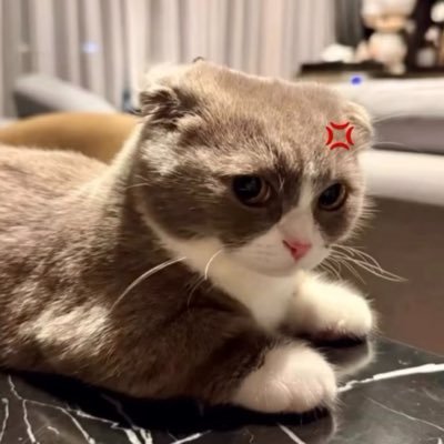 pppettaime's profile picture