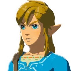 link's profile picture