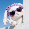 มอปอʕ·ᴥ·ʔ 的头像
