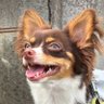 tsumasabro profil fotoğrafı