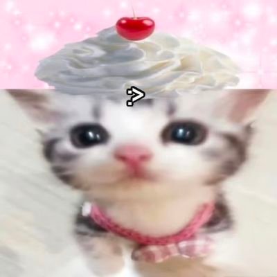 唤真真儿's profile picture