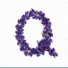 Фото профиля 🪻Periwinkle🪻