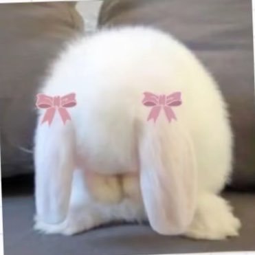 bbbsmilenarak's profile picture