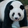 梁景尧 OKX's profile picture