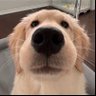 SASI ☁️'s profile picture
