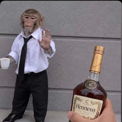 japhet_kapinga's profile picture