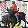 Jan van Henegouwen's profile picture