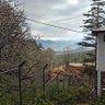 ZenG profil fotoğrafı