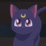 Profilbild von mellow