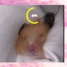 𝕵ꪊꪀ ᴸᵒᵛᵉ ˢⁱᶜᵏ 的头像