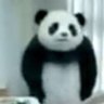 PANDA 的头像