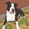Profilbild von Petit Priscilla