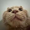 b's profile picture
