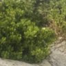 大自然 profil fotoğrafı