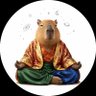 Profilbild von さとりくん