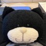 Profilbild von cai yushan