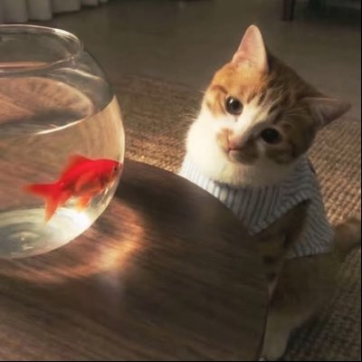 BΛBYYFIᄂM's profile picture