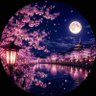 夜桜 profil fotoğrafı
