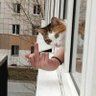 Blinkboy profil fotoğrafı