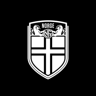 Fotballandslaget's profile picture