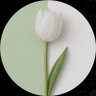 الهنوف💙's profile picture