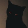 laifly's profile picture