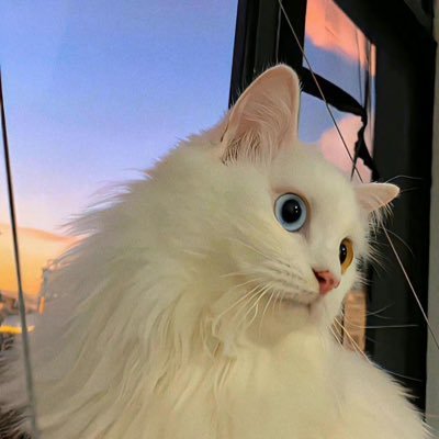 cecilthom_0cne's profile picture