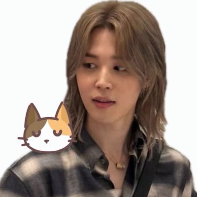 calico's profile picture