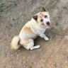 zxaw profil fotoğrafı