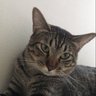dud's profile picture