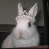 Фото профиля 🐰 ♀