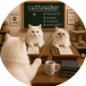 Profilbild von Catteacher