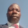 Profilbild von bison mungwere