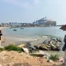 🙏🙏🙏🙏🙏's profile picture