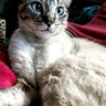 Profilbild von Naní