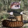 Snekfella profil fotoğrafı
