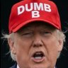 Фото профиля MAGA FOR DUMMIES without the B