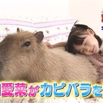 두반(eomdeongroom)'s profile picture
