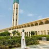 El-Amiraguettaf 🇩🇿 的头像
