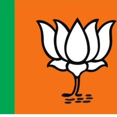 BJP4UAE's profile picture