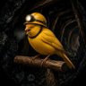 Coal Mine Canary profil fotoğrafı