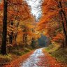 Фото профиля Harun Sarı