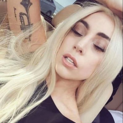 bratgaga's profile picture