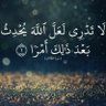 Profilbild von AMR FAthy