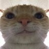 Profilbild von chrisss